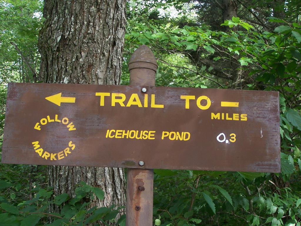 Photo: To Icehouse Pond Photo: To Icehouse Pond
