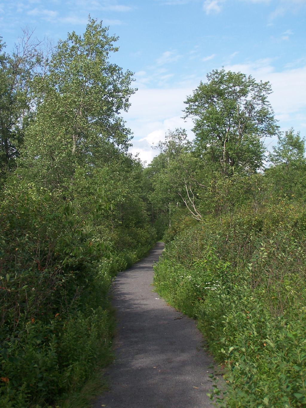 Photo: Icehouse Pond is Handicap Accessible Photo: Icehouse Pond is Handicap Accessible