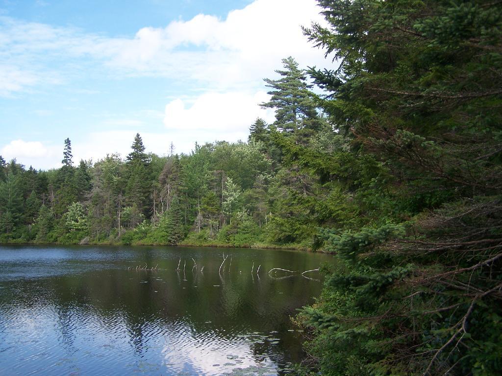 Photo: Icehouse Pond Photo: Icehouse Pond