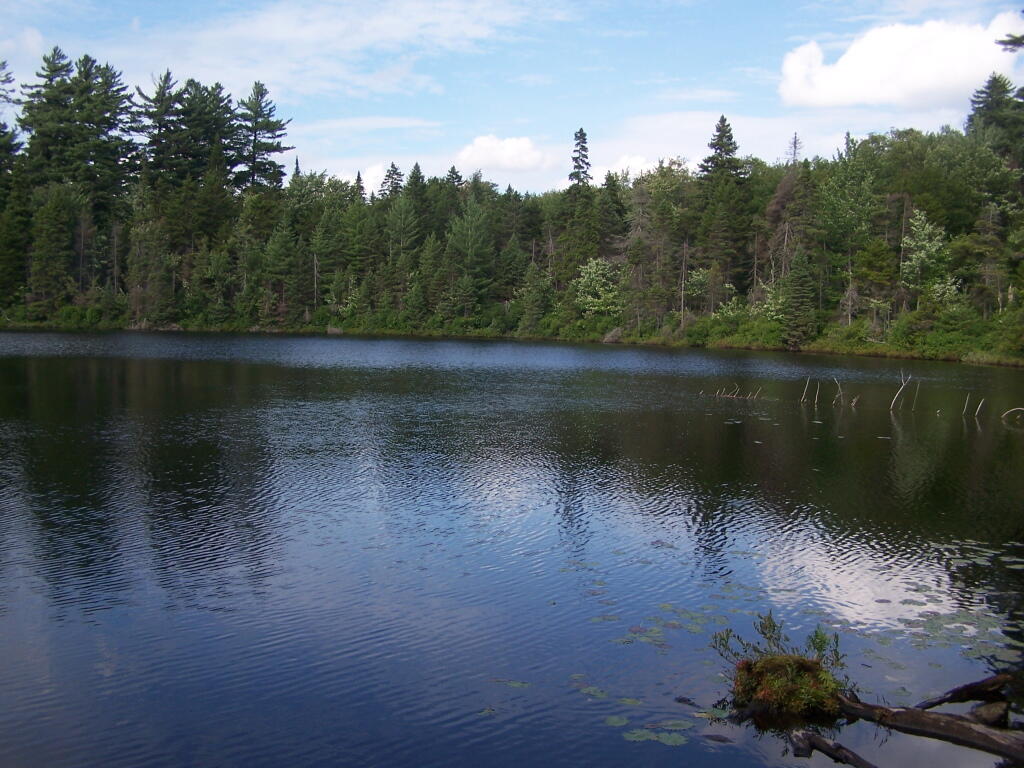 Photo: Icehouse Pond Photo: Icehouse Pond