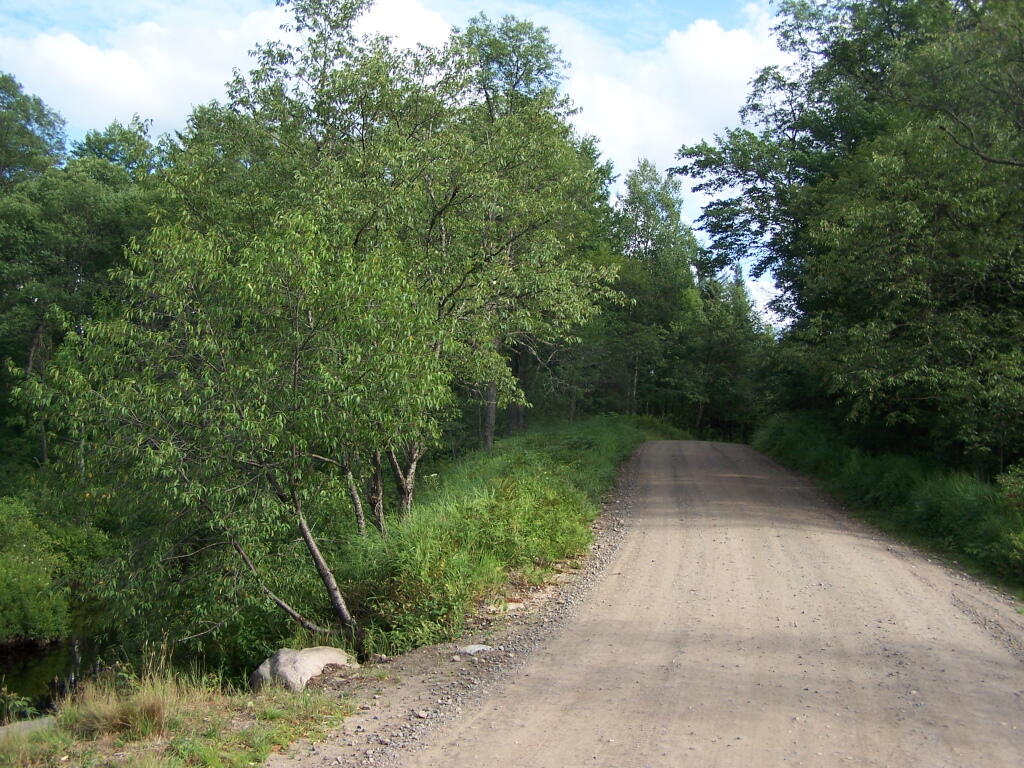 Photo: Otter Brook Road North of Big T Junction Photo: Otter Brook Road North of Big T Junction