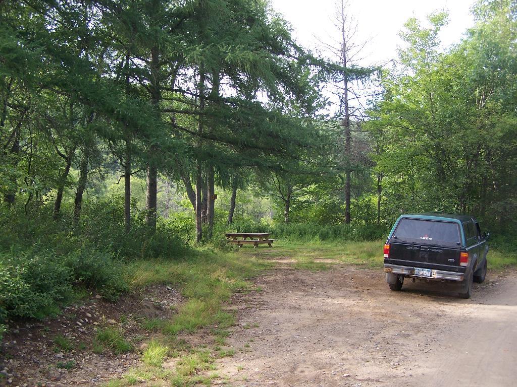 Photo: Campsite Along Summer Stream Photo: Campsite Along Summer Stream