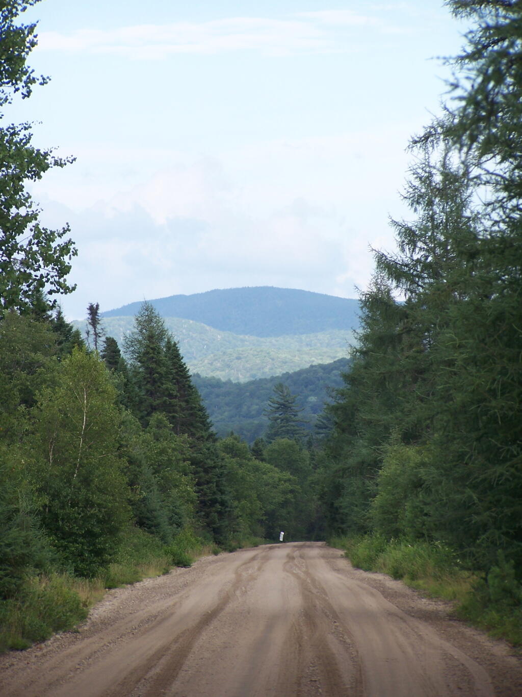 Photo: Cellar Mountain Photo: Cellar Mountain