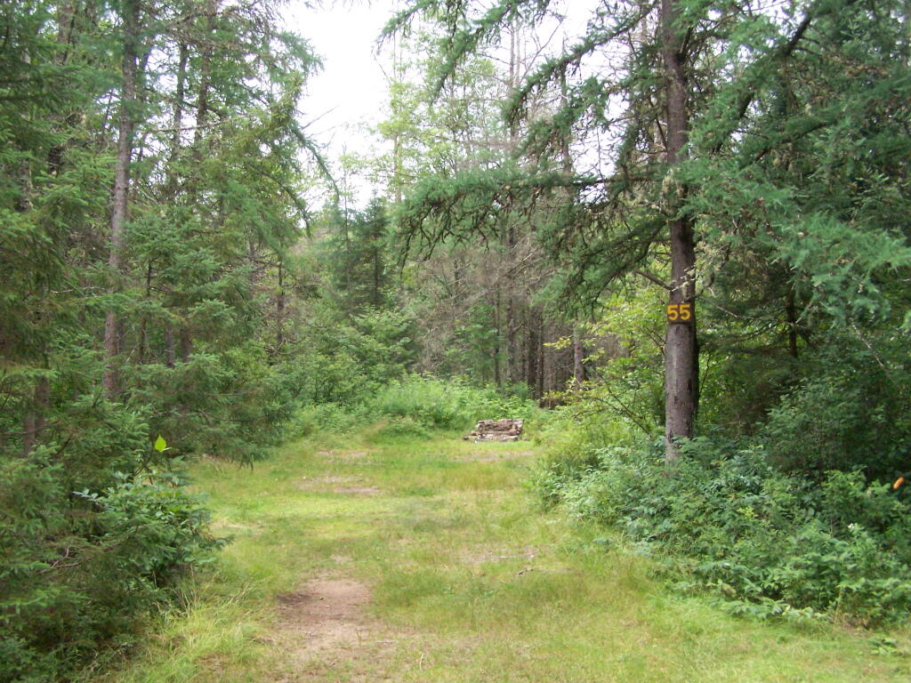 Photo: Campsite 55 Photo: Campsite 55