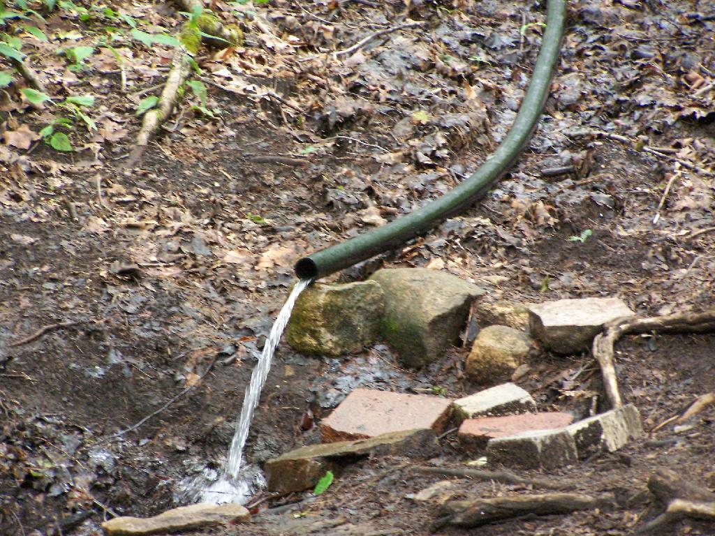 Photo: Spring at Campsite 77 Photo: Spring at Campsite 77