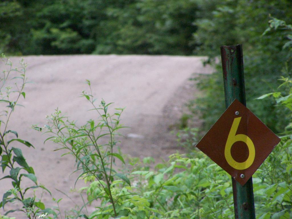 Photo: Milepost 6 on Plains Road Photo: Milepost 6 on Plains Road