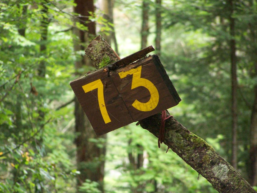 Photo: Site 73 Photo: Site 73