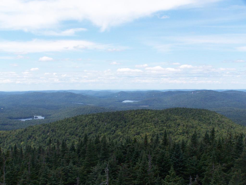 Photo: Moose River Plans and West Canada Creek Wilderness Photo: Moose River Plans and West Canada Creek Wilderness