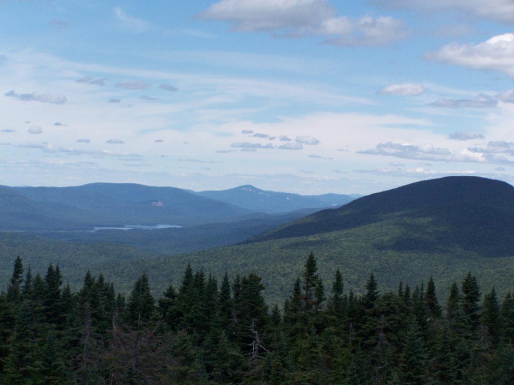 Photo: Towards Cedar River Flow Photo: Towards Cedar River Flow