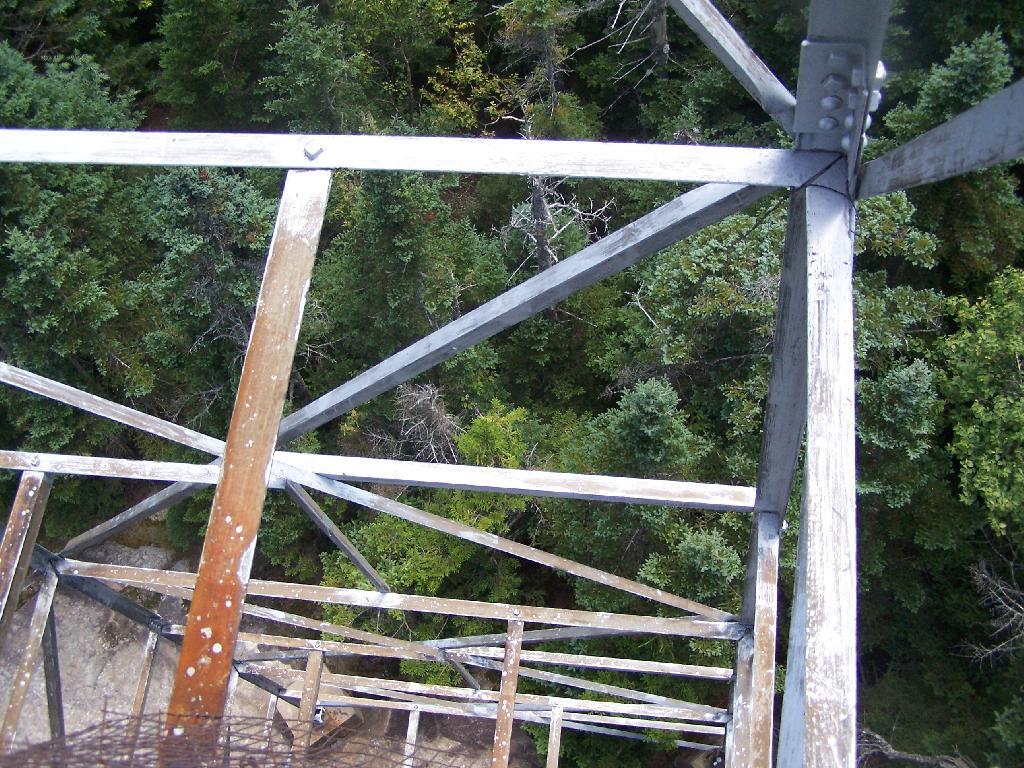 Photo: Trusses Photo: Trusses