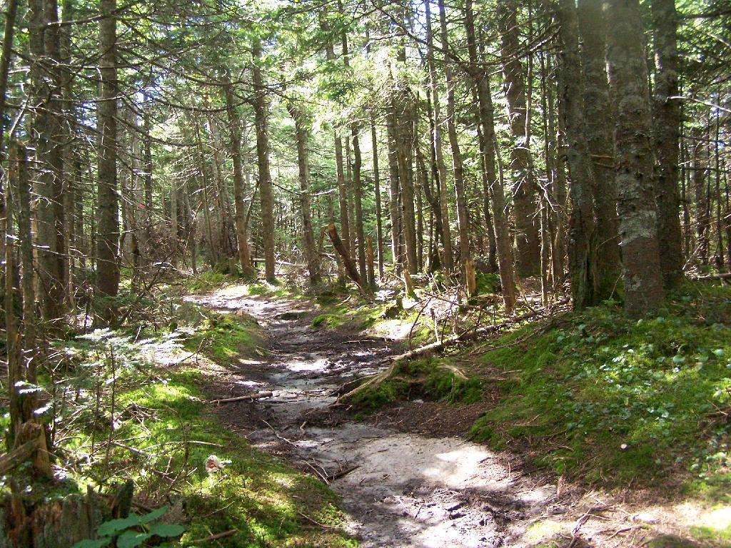 Photo: Often Muddy Trail Atop Pillsbury Photo: Often Muddy Trail Atop Pillsbury
