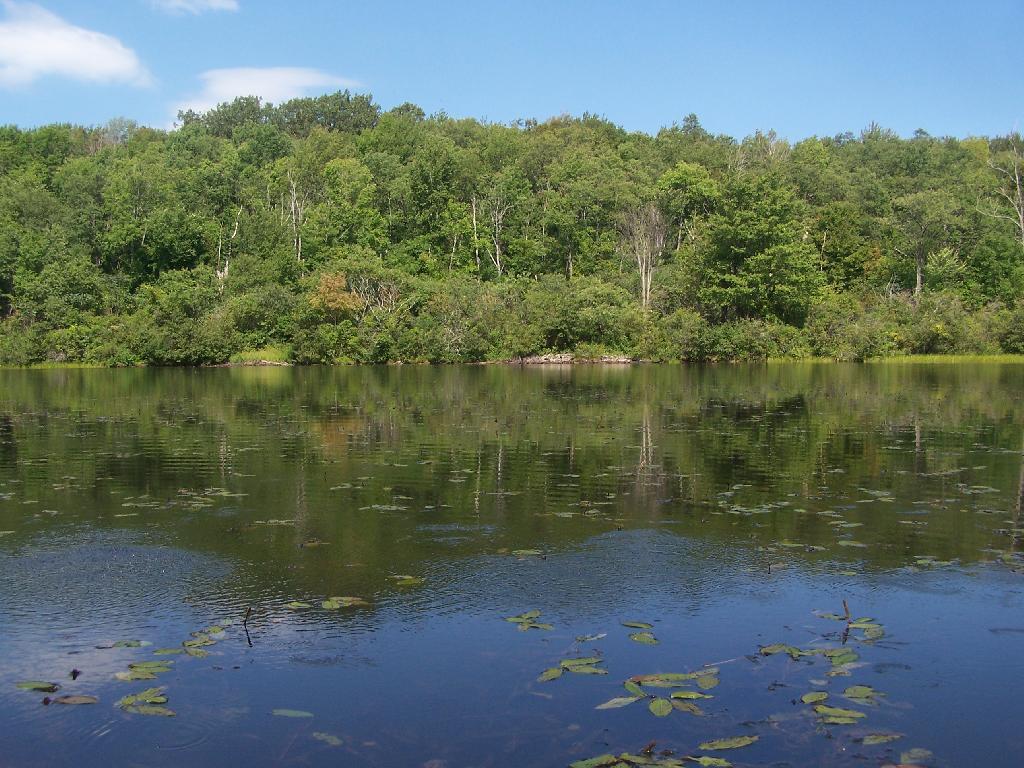 Photo: Tubbs Pond