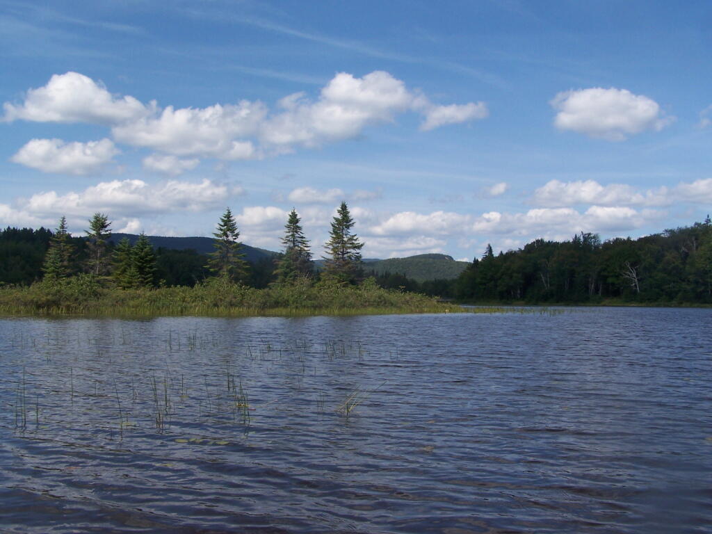 Photo: Hook Near Payne Brook Photo: Hook Near Payne Brook
