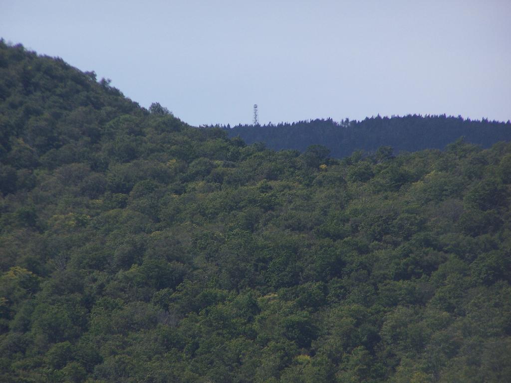 Photo: Wakely Fire Tower Photo: Wakely Fire Tower