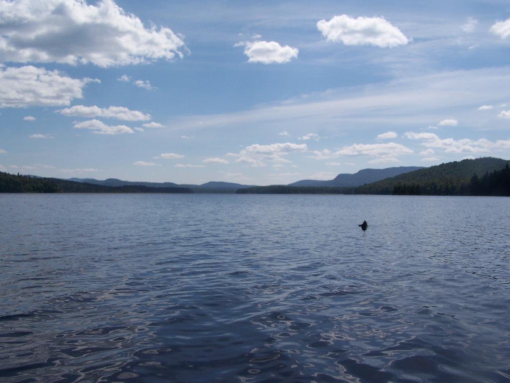 Photo: South Over Cedar River Flow Photo: South Over Cedar River Flow
