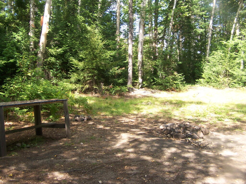 Photo: Campsite on Cedar River Flow Photo: Campsite on Cedar River Flow