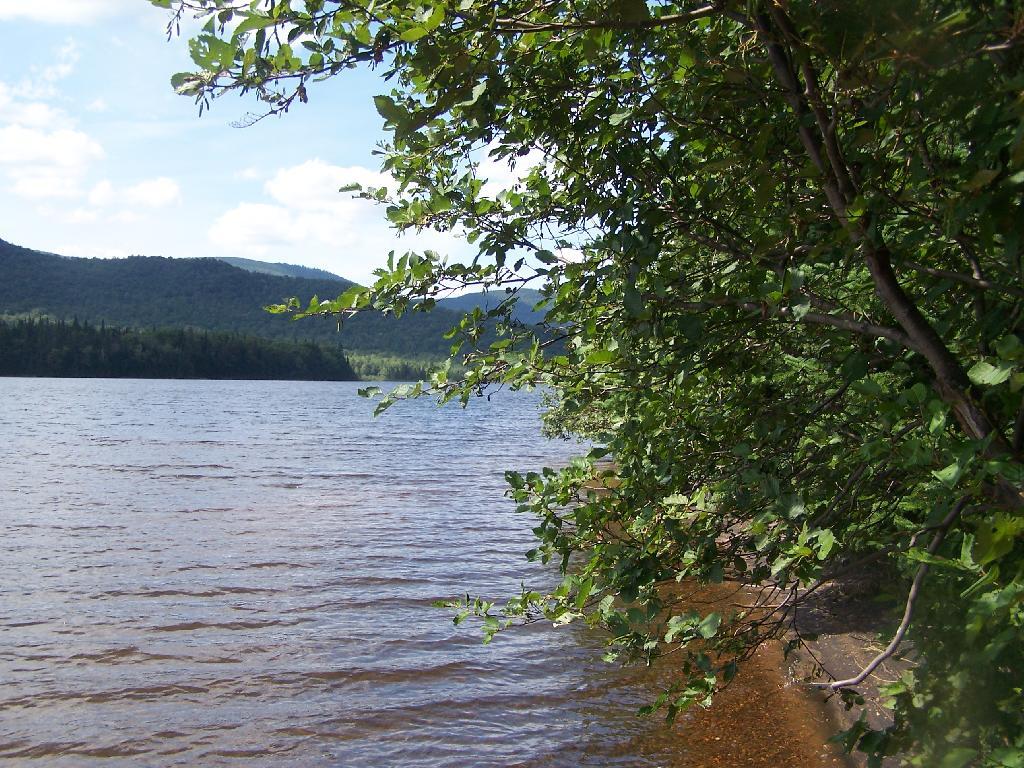 Photo: Edge of Cedar River Flow Photo: Edge of Cedar River Flow