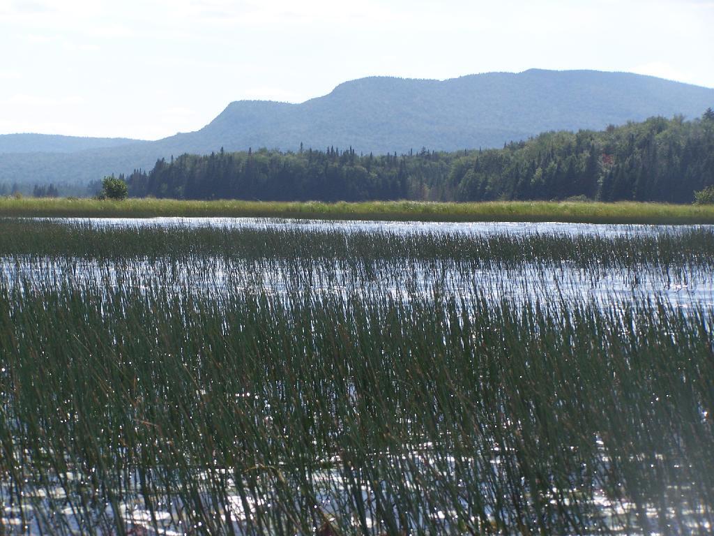 Photo: Sturges Hills and Wilson Ridge Photo: Sturges Hills and Wilson Ridge