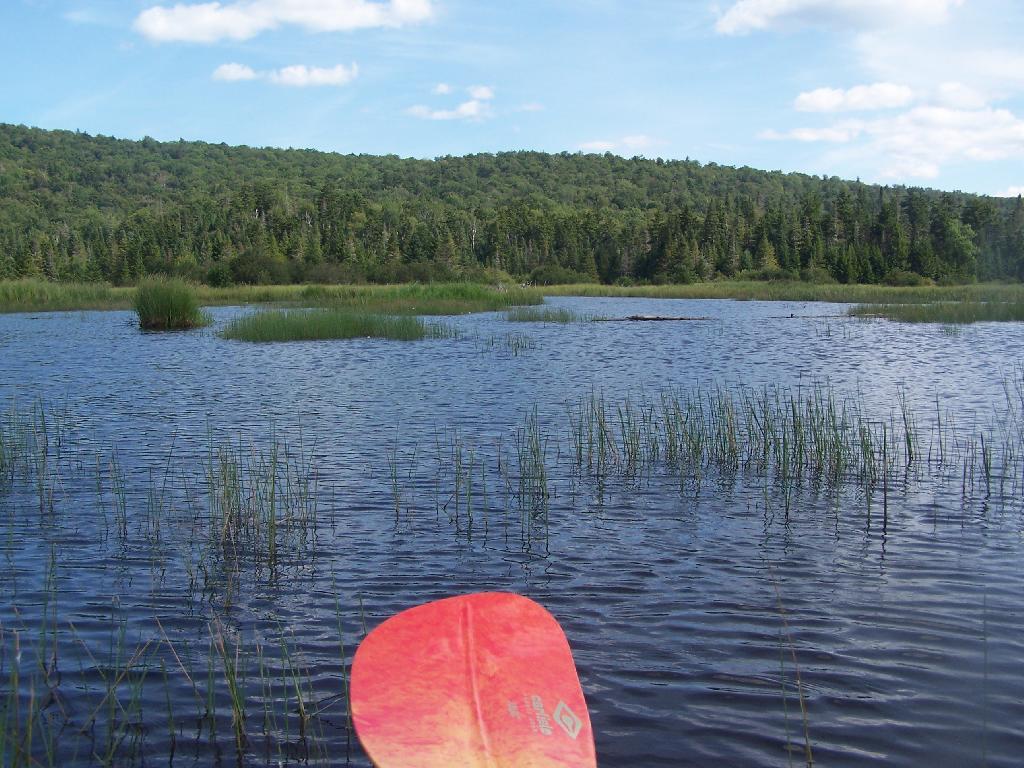 Photo: Tougher Paddling Photo: Tougher Paddling