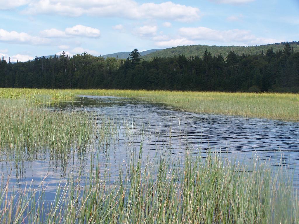 Photo: End of Cedar River Flow Photo: End of Cedar River Flow