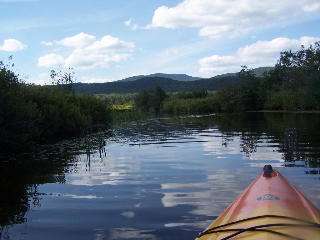 Photo: Paddling Thru Cedar River Photo: Paddling Thru Cedar River