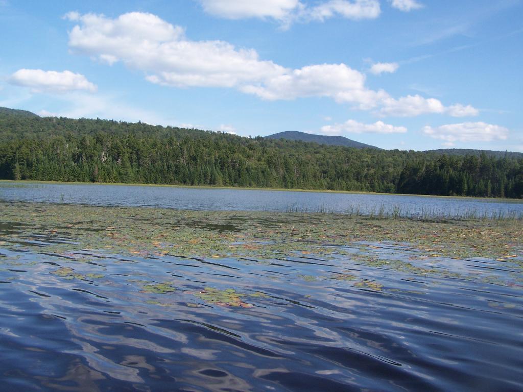 Photo: South Across Cedar River Flow Photo: South Across Cedar River Flow