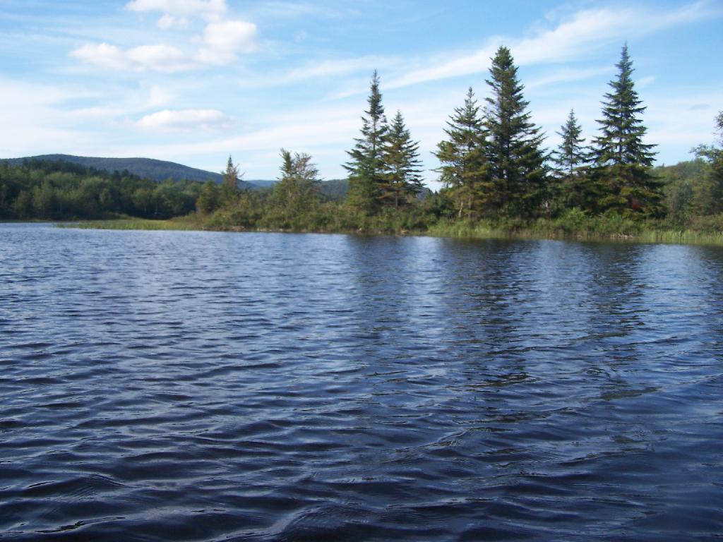 Photo: Flooded Lake Photo: Flooded Lake
