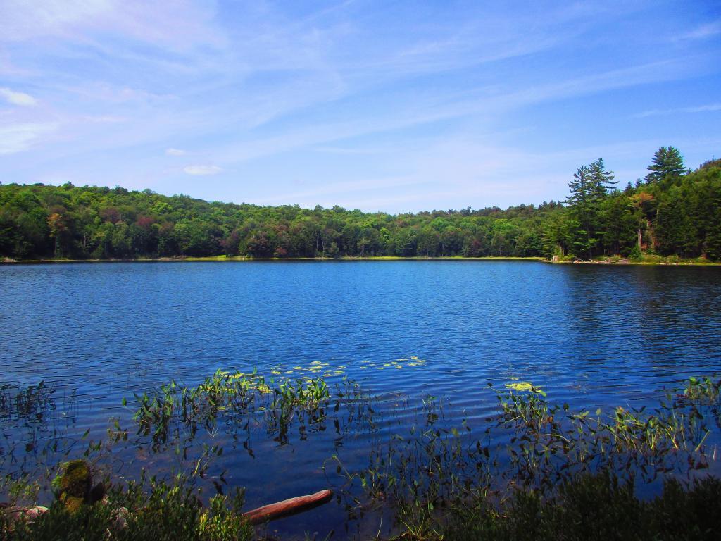 Photo: Dexter Lake