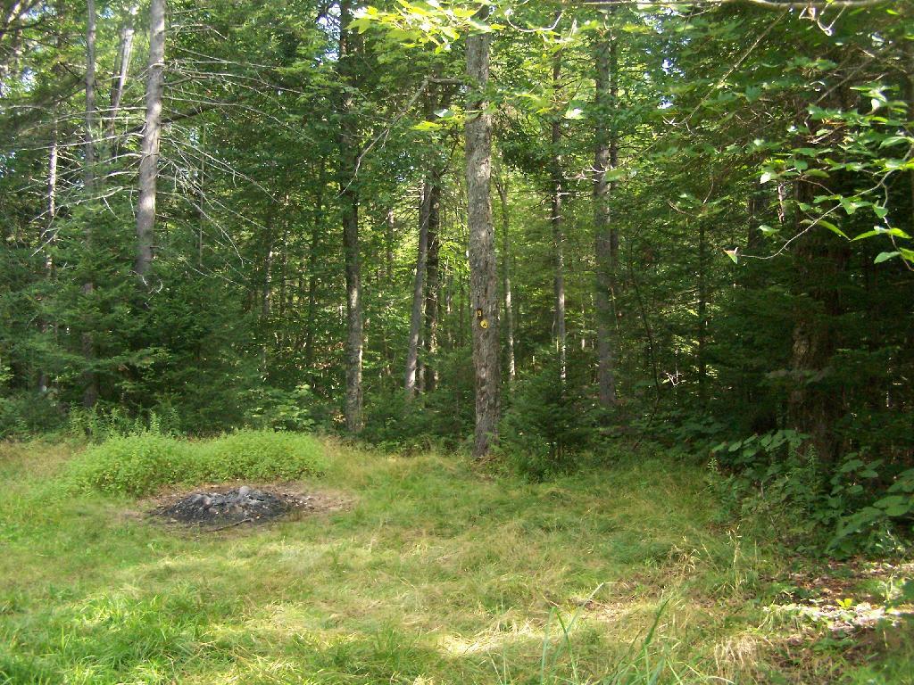 Photo: Not Fancy Campsite Photo: Not Fancy Campsite
