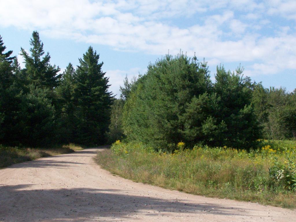 Photo: Gravel Road Photo: Gravel Road