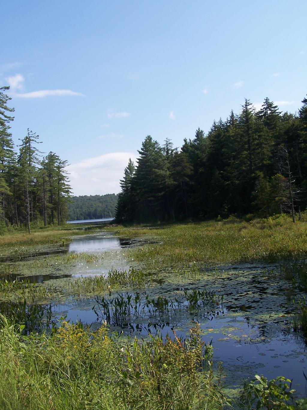 Photo: Outlet to Horseshoe Lake Photo: Outlet to Horseshoe Lake