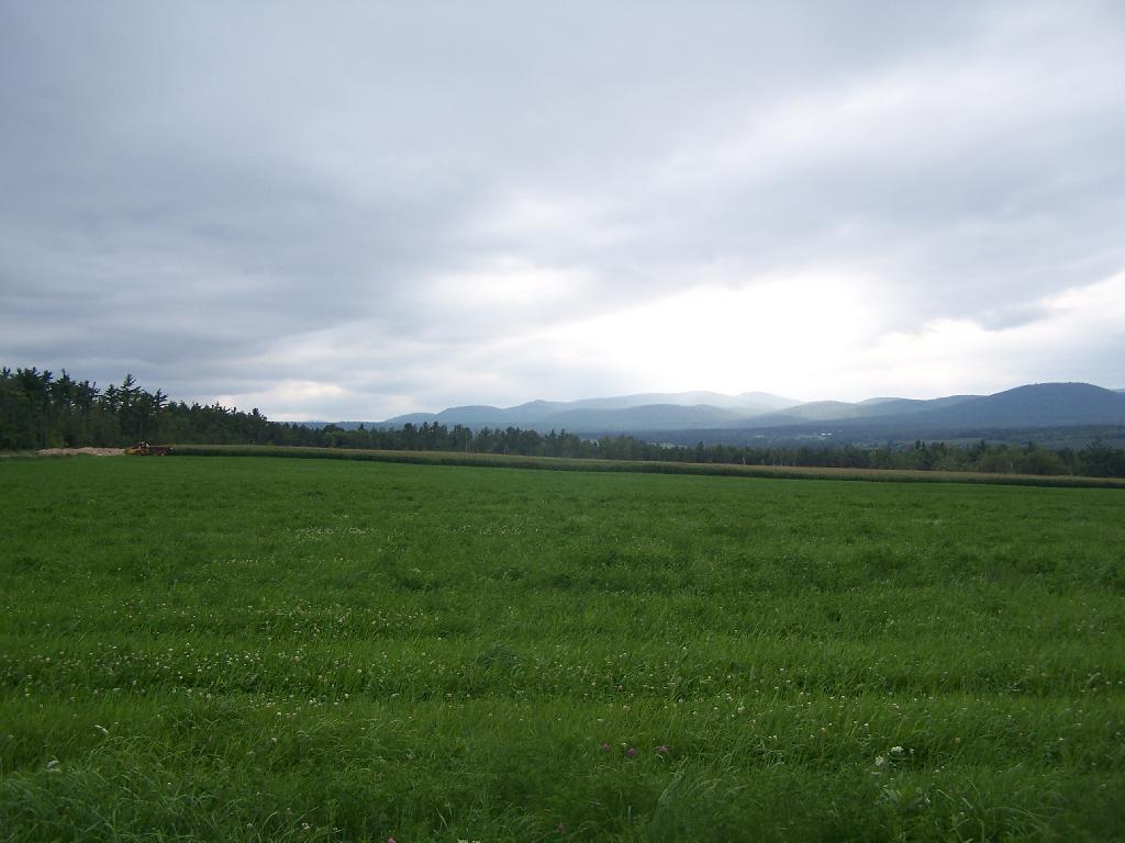 Photo: Landscape Photo: Landscape