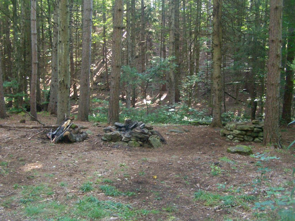 Photo: Betty Brook Site All Cleaned Up Photo: Betty Brook Site All Cleaned Up