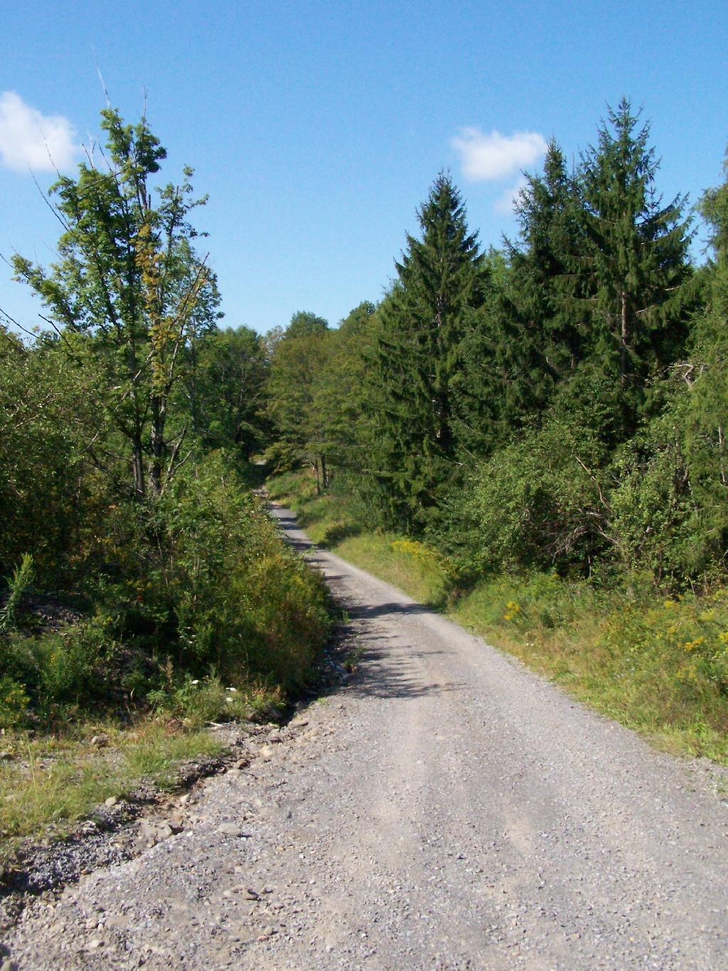 Photo: Rossman Fly Road Photo: Rossman Fly Road