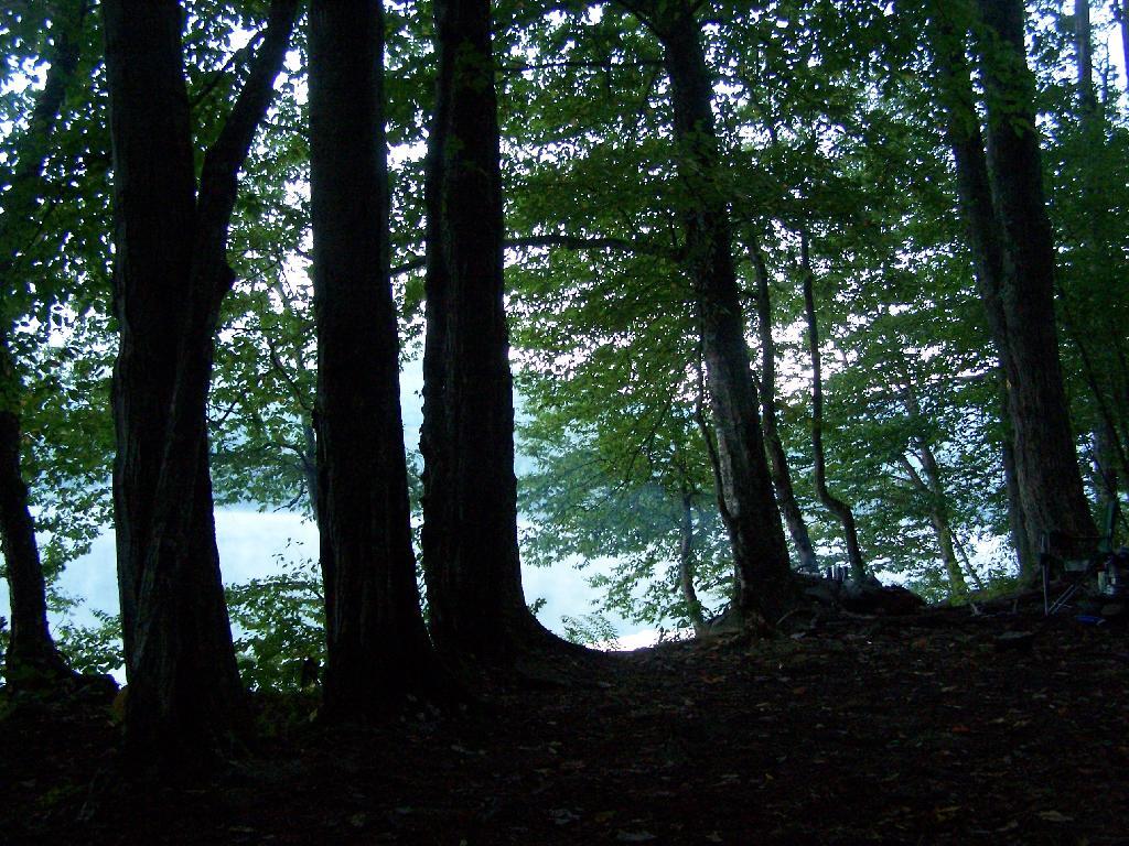Photo: Waking Up at Big Pond Photo: Waking Up at Big Pond