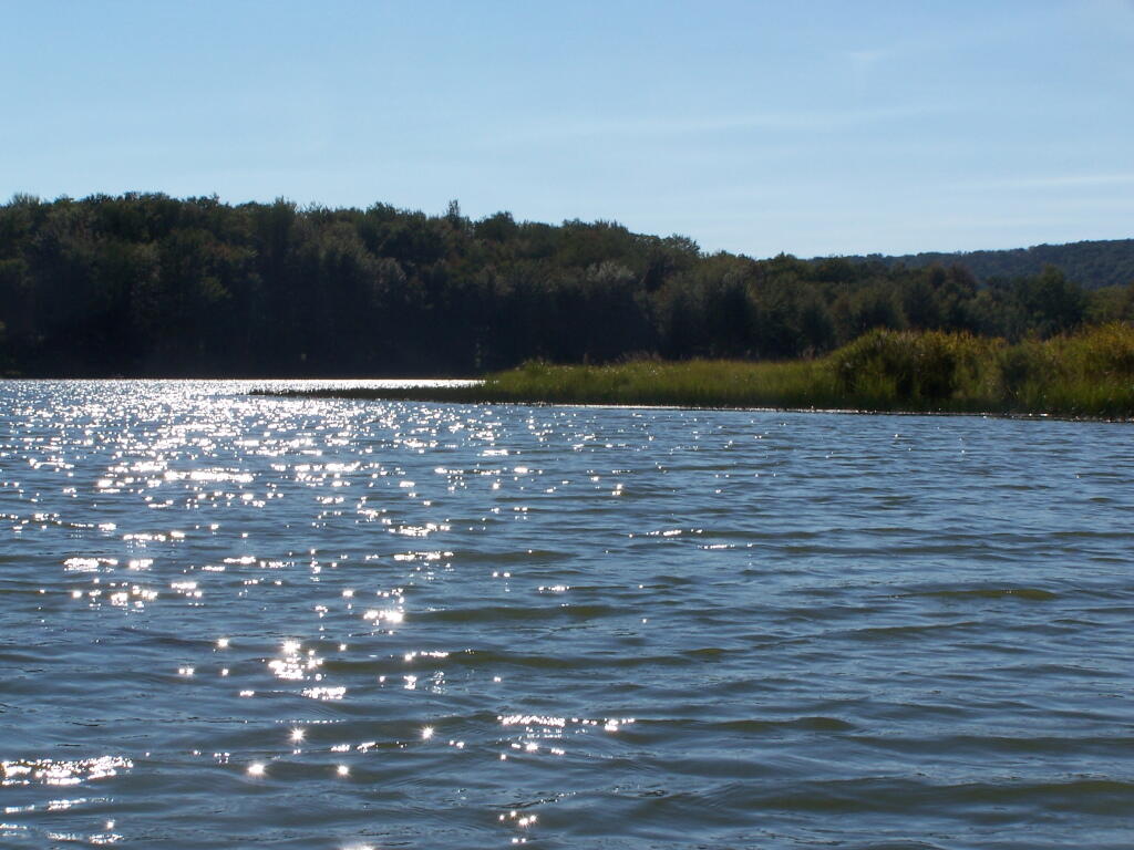 Photo: Alder Lake Sparkles Photo: Alder Lake Sparkles