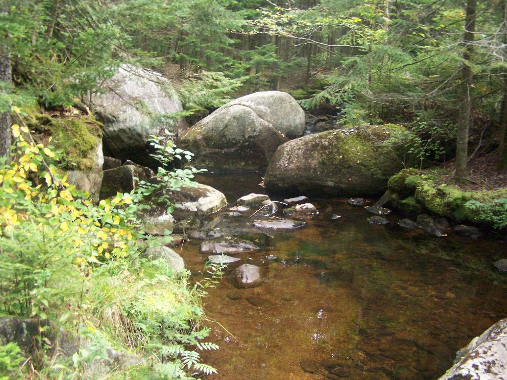 Photo: Silver Run Photo: Silver Run
