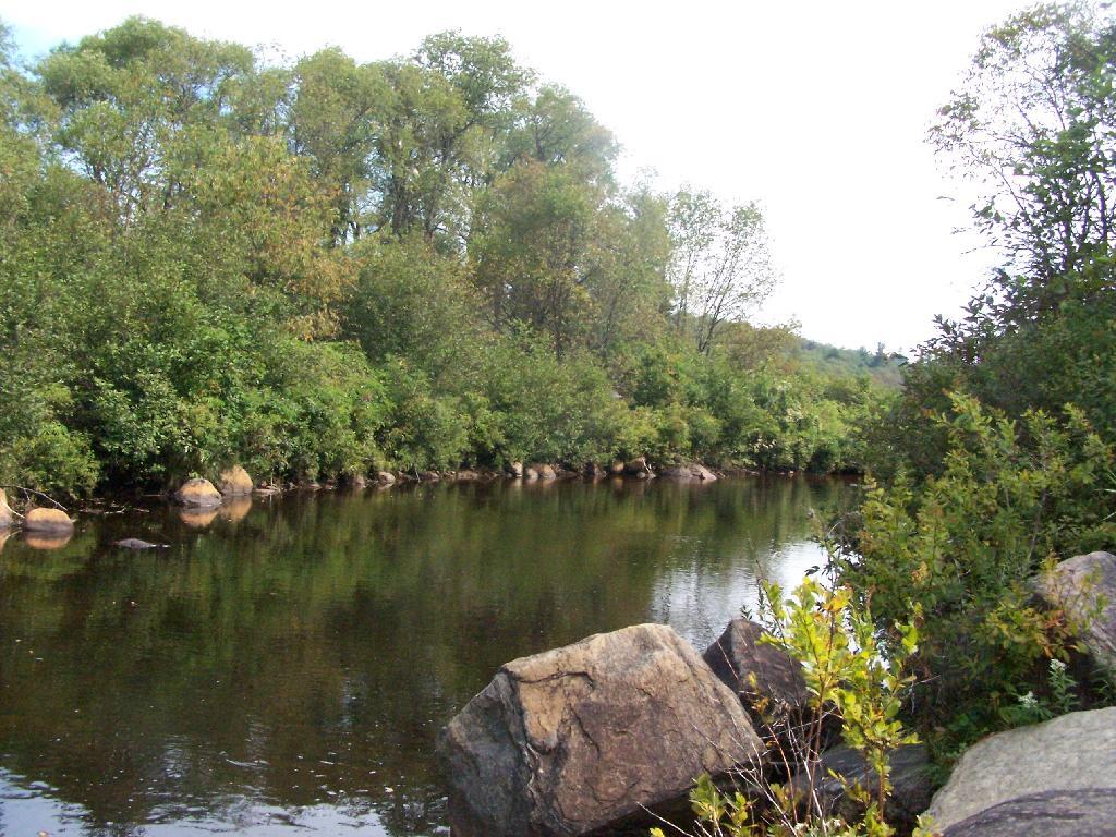 Photo: North from Bridge Photo: North from Bridge