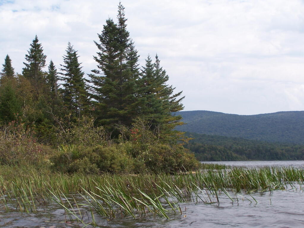 Photo: Island Photo: Island