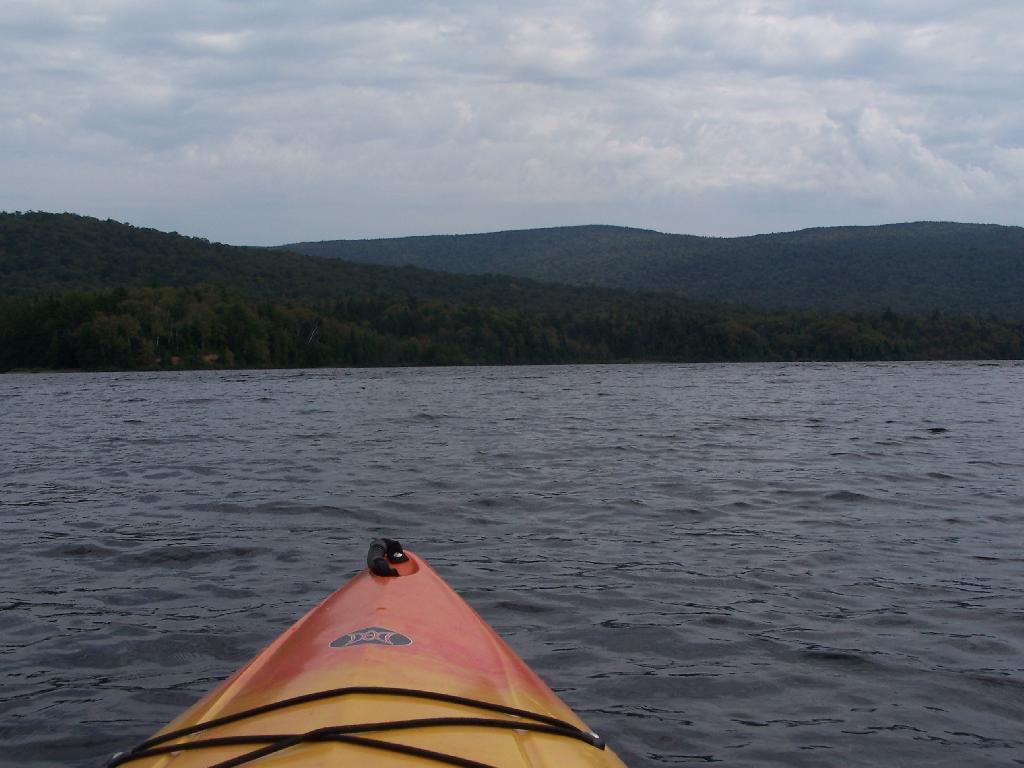 Photo: Along Cedar Flow Photo: Along Cedar Flow