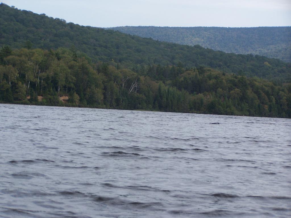 Photo: Choppy Waters Photo: Choppy Waters