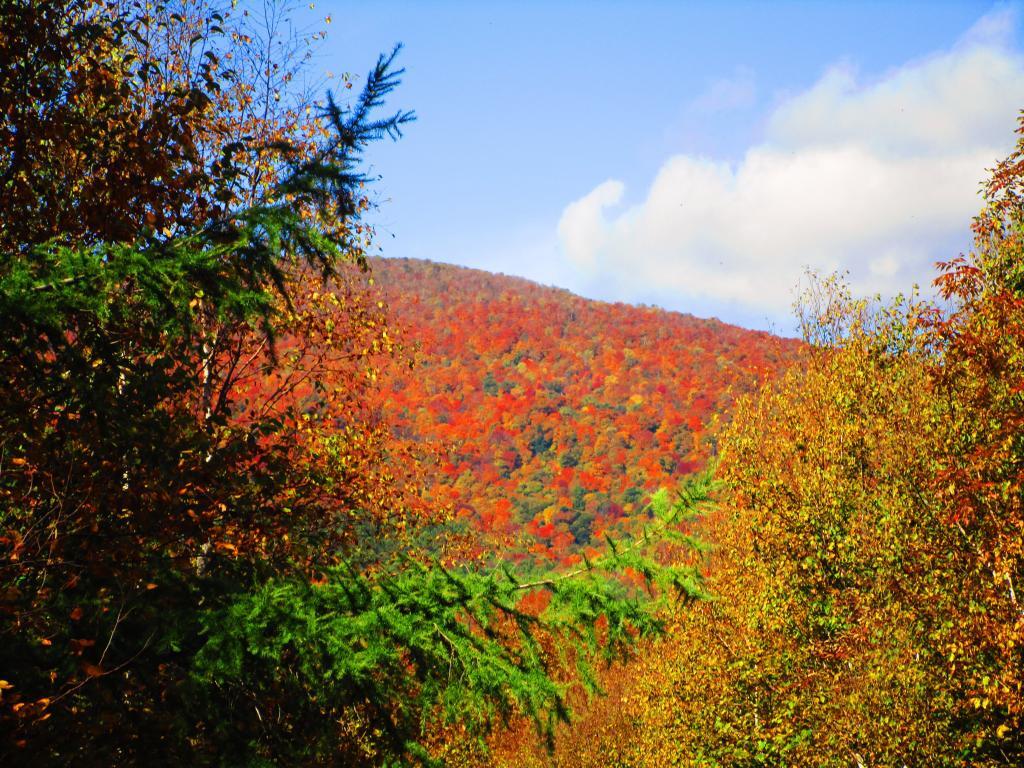 Photo: Lots of Color on North Bearpen Photo: Lots of Color on North Bearpen