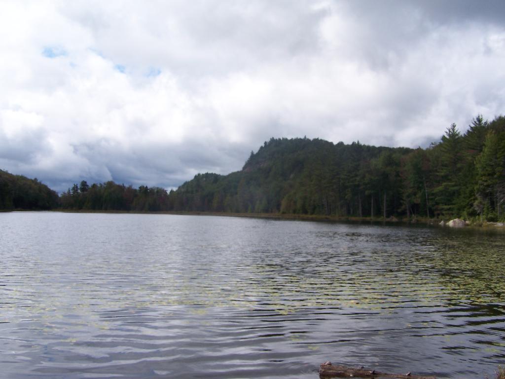 Photo: Mitchell Ponds Photo: Mitchell Ponds
