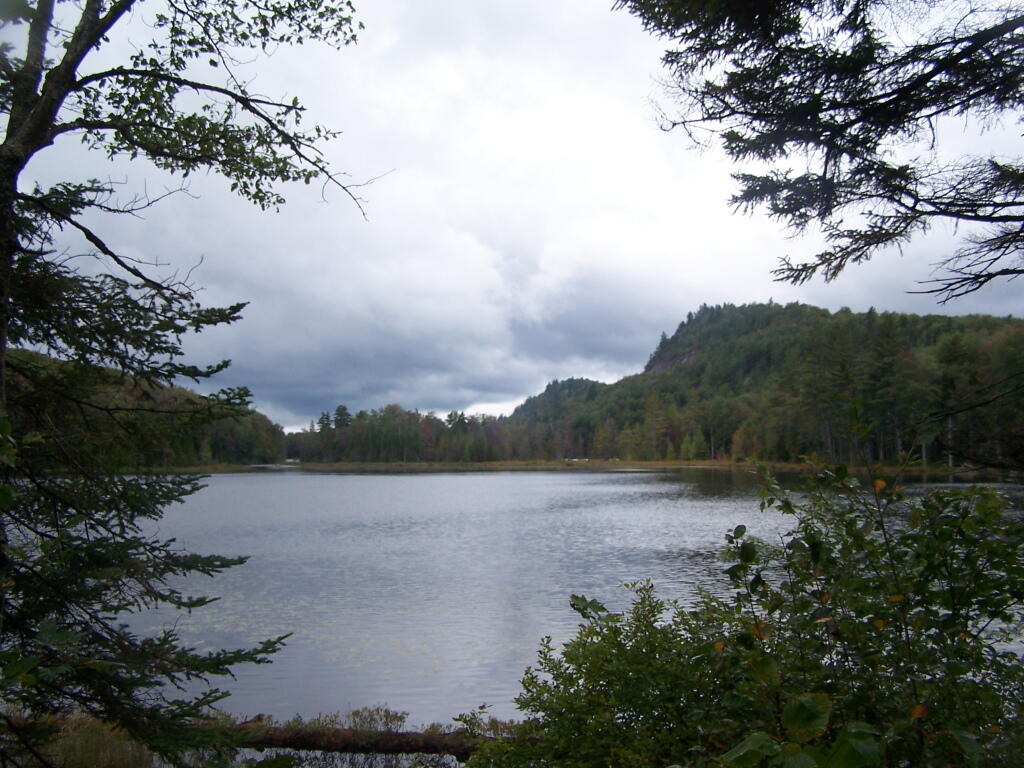 Photo: Mitchells Ponds Photo: Mitchells Ponds