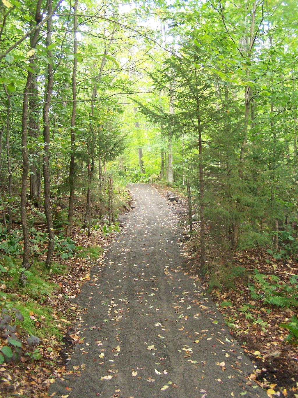 Photo: New Mitchells Pond Handicap Trail Photo: New Mitchells Pond Handicap Trail