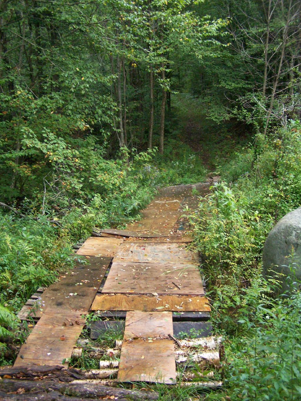 Photo: Trail Beyond the Handicap Trail Photo: Trail Beyond the Handicap Trail