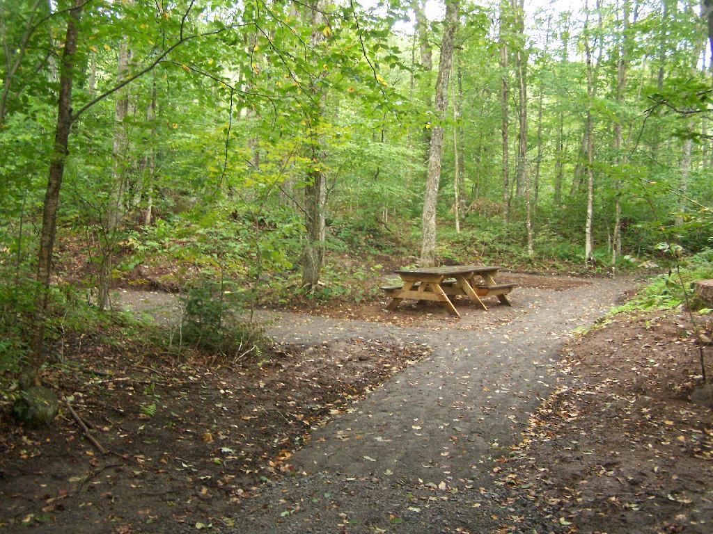 Photo: New Handicap Campsite Photo: New Handicap Campsite