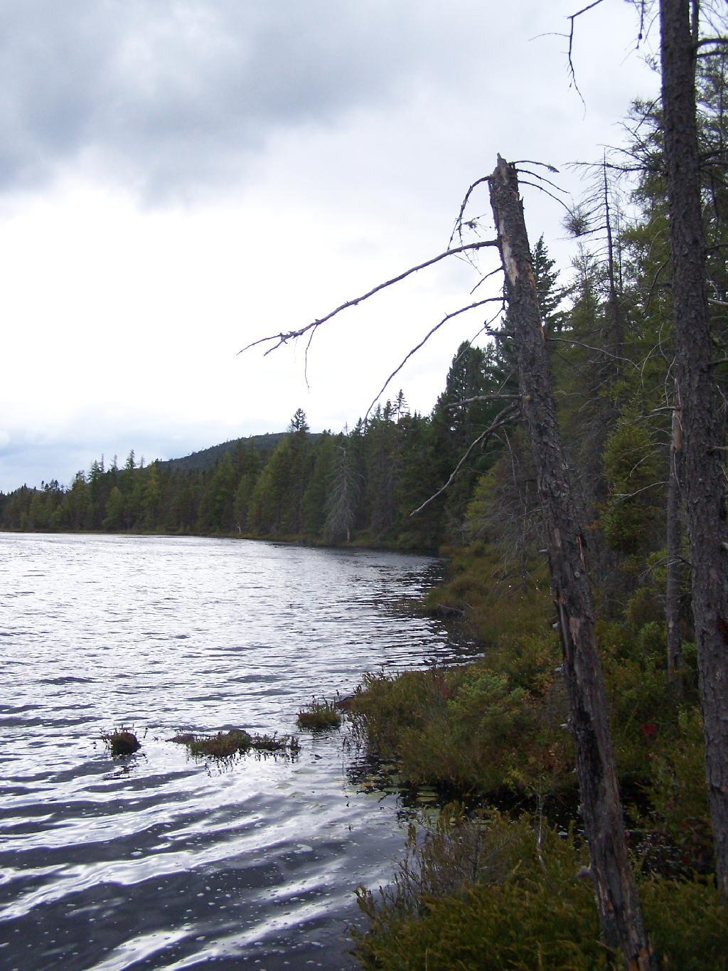 Photo: Edge of Helldiver Pond Photo: Edge of Helldiver Pond