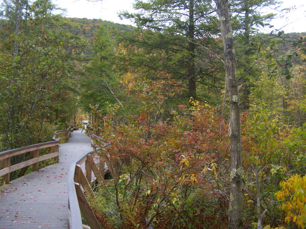 Photo: Walkway Photo: Walkway