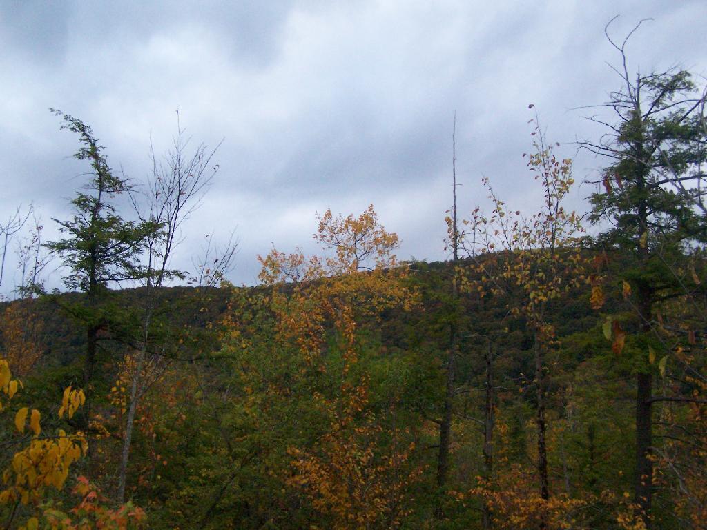 Photo: Labrador Mountain Photo: Labrador Mountain